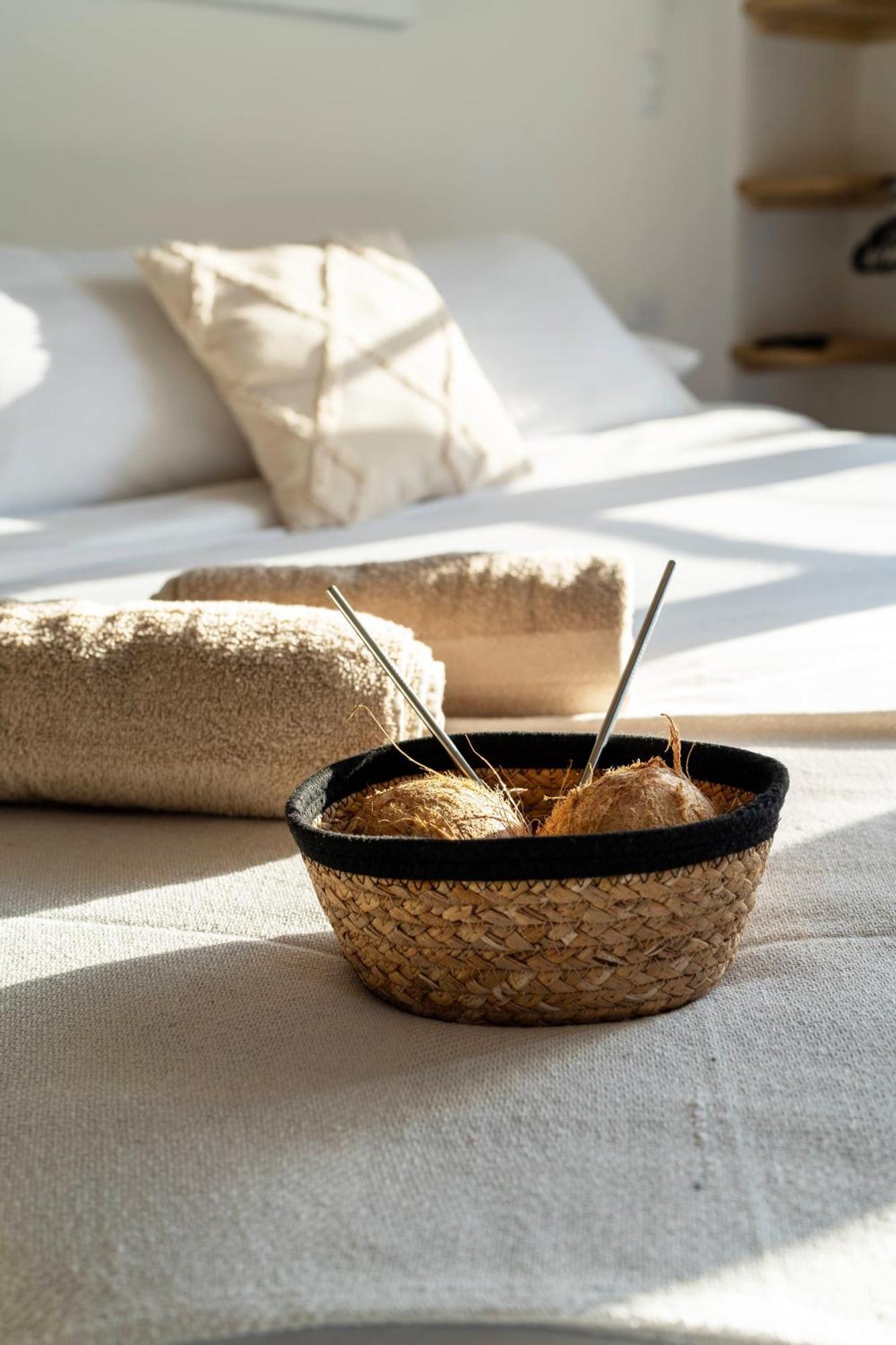 Alma Tropical - Luxury Villa Experience In Santa Teresa Playa Santa Teresa  Eksteriør billede